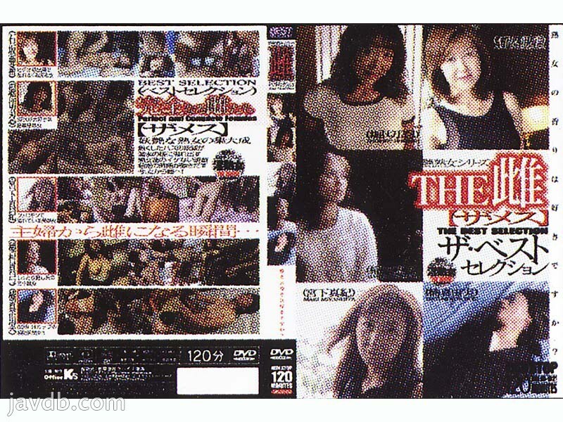 DKJB-02 婊子最好的選擇 - 宮下真紀