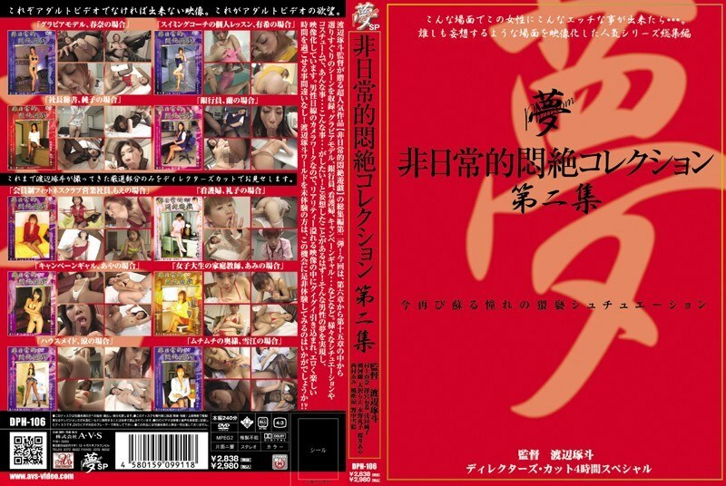 DPH-106 非凡的痛苦收藏 Vol.2 - 水野禮子