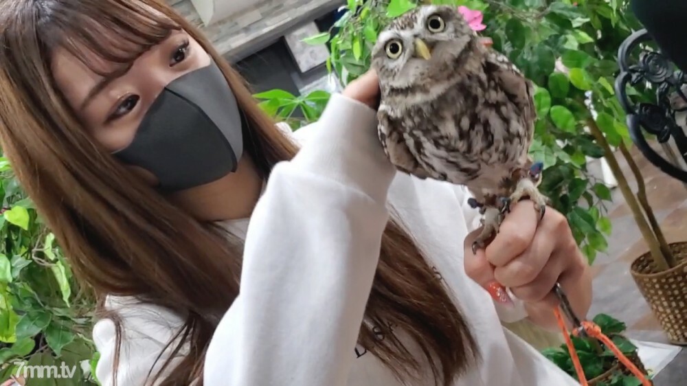 5/15까지 한정 나머지 3일! ! 【무수정】카페에서 만난 JD에 질 내 사정(전편)