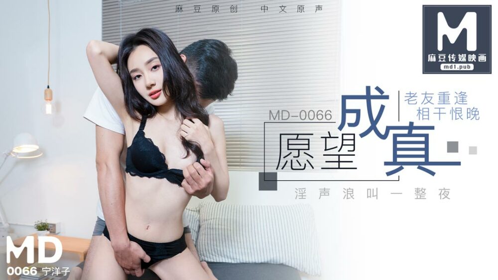夢が叶う