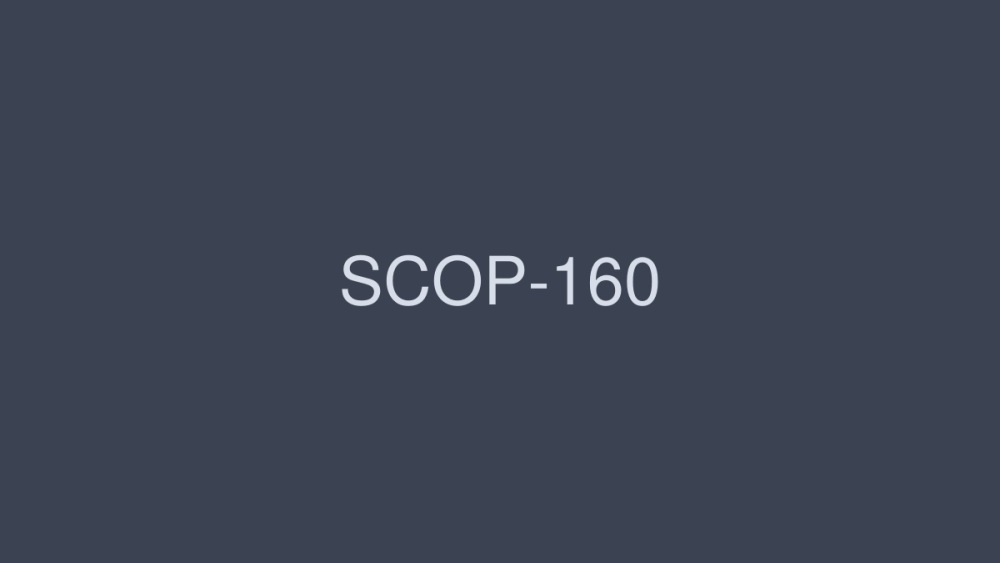 SCOP-160 是有製作的後颱風俗，我在後面穿的時候，偷偷把膠皮拿下來原樣放出來！五 - 霞理沙